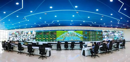 金鼎鋼鐵 以信息技術研發之“綠”，鑄就發展底色中的別樣“紅”